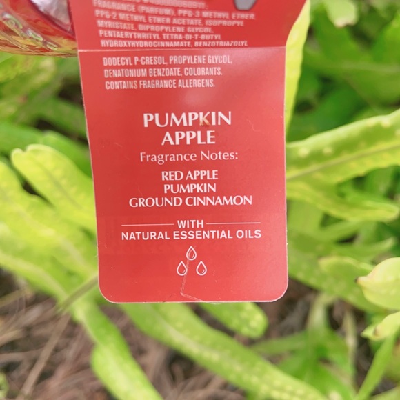 BBW pumpkin apple & market peach and strawberry pound cake wallflower refill set - Picture 5 of 10